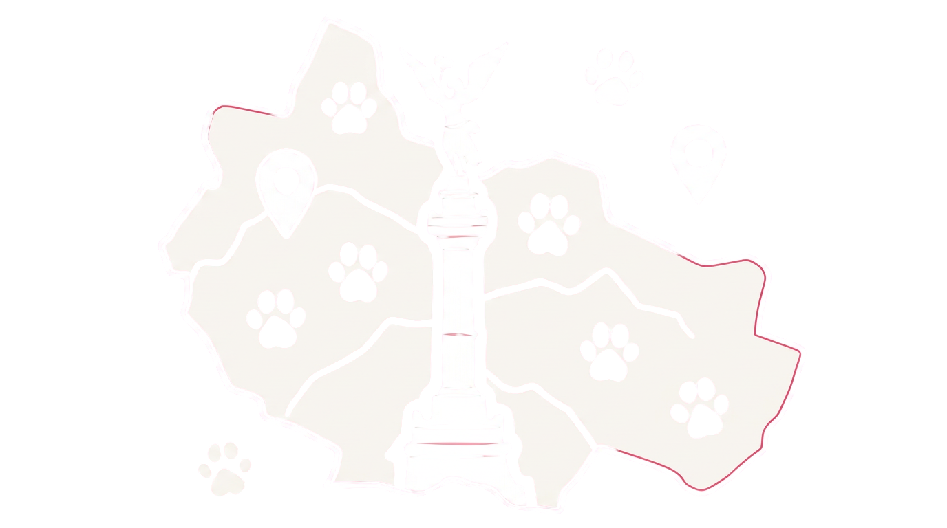 Mapa de zonas en CDMX
